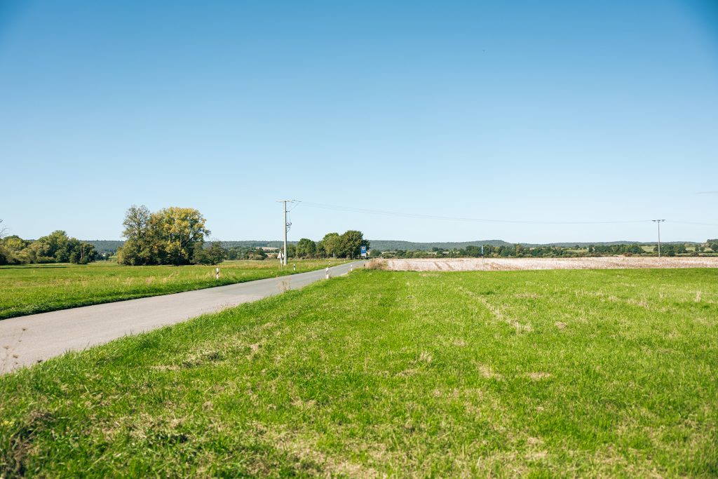 Bildausschnitt einer Landstraße
